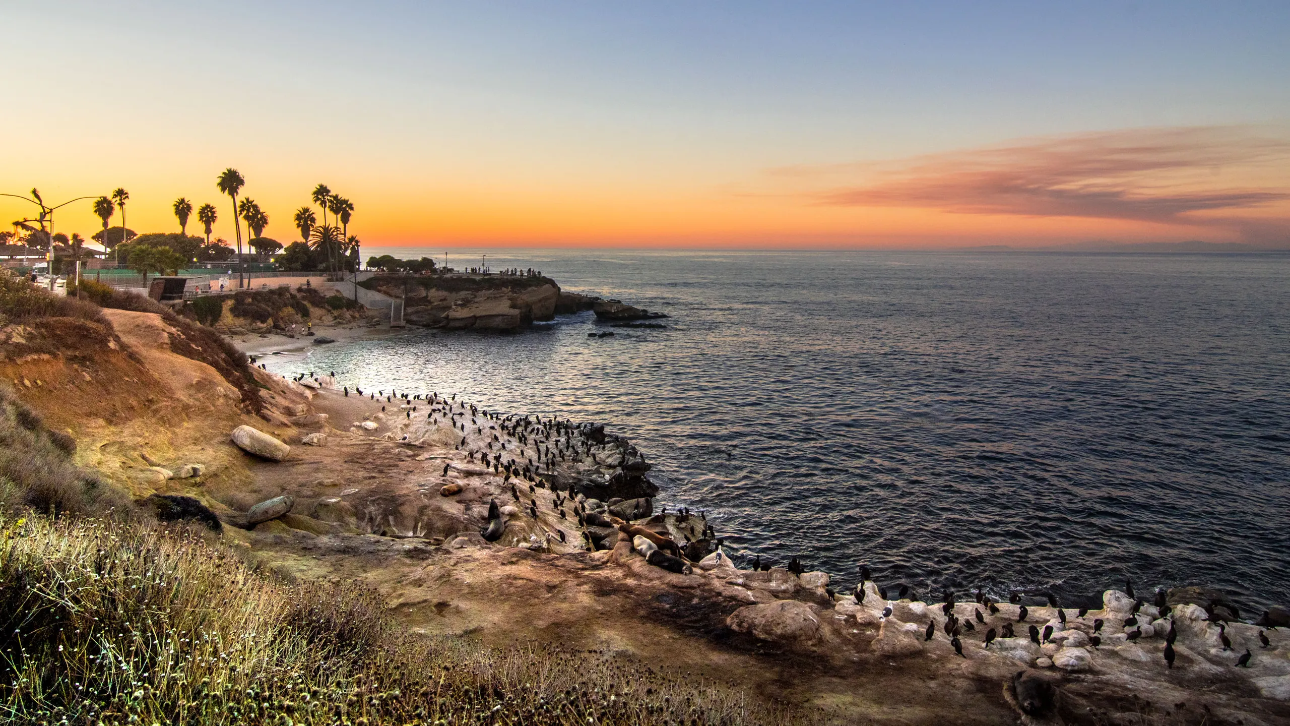 La Jolla Cove at sunset, San Diego